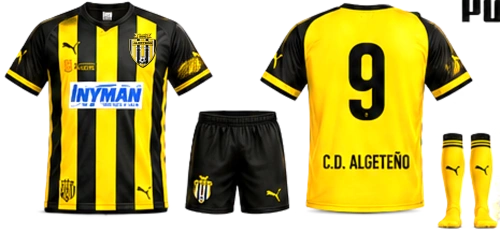 Imagen Primera equipación C.D. ALGETEÑO
