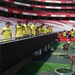 Imagen C.D. ALGETEÑO en el estadio del BENFICA